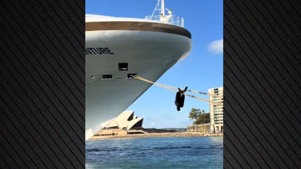 Σκαρφάλωνε σε σχοινιά κρουαζιερόπλοιου στο λιμάνι του Σίδνεϊ και συνελήφθη (βίντεο)