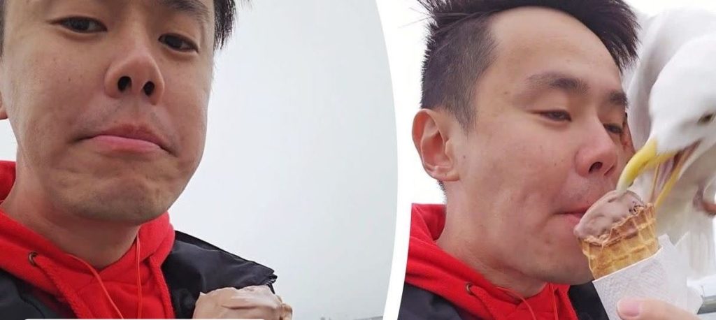 Τουρίστας μένει άφωνος από πελαργό που του τρώει το παγωτό – Δείτε βίντεο