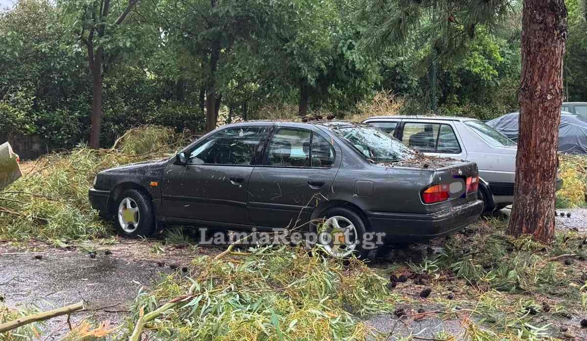 Προβλήματα και καταστροφές στη Λαμία από βροχές και δυνατούς ανέμους – Σπίτια πλημμύρισαν, δένδρα «ξεριζώθηκαν»