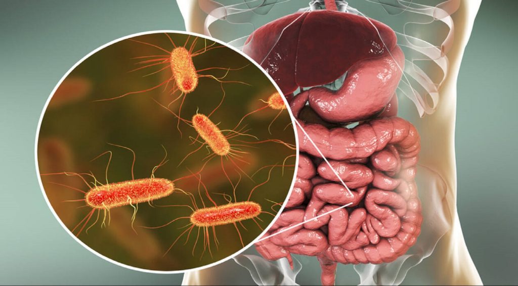 Τι είναι τα εντερικά παράσιτα και πώς επηρεάζουν το σώμα; – Οι καλύτερες επιλογές θεραπείας