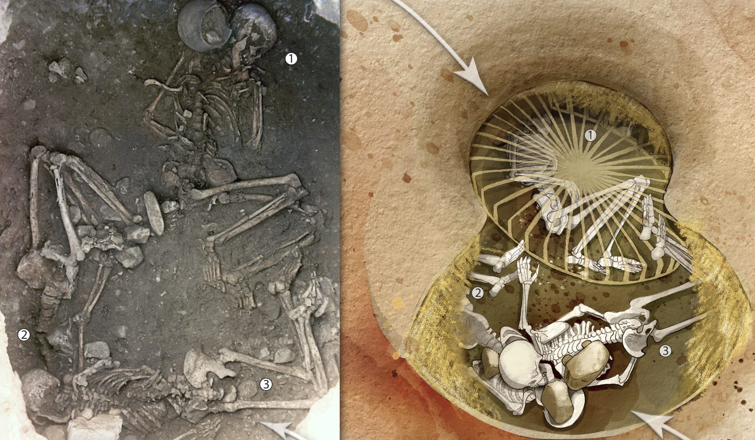 Γαλλία: Ανακαλύφθηκαν προϊστορικοί σκελετοί με τους αστραγάλους δεμένους στον λαιμό