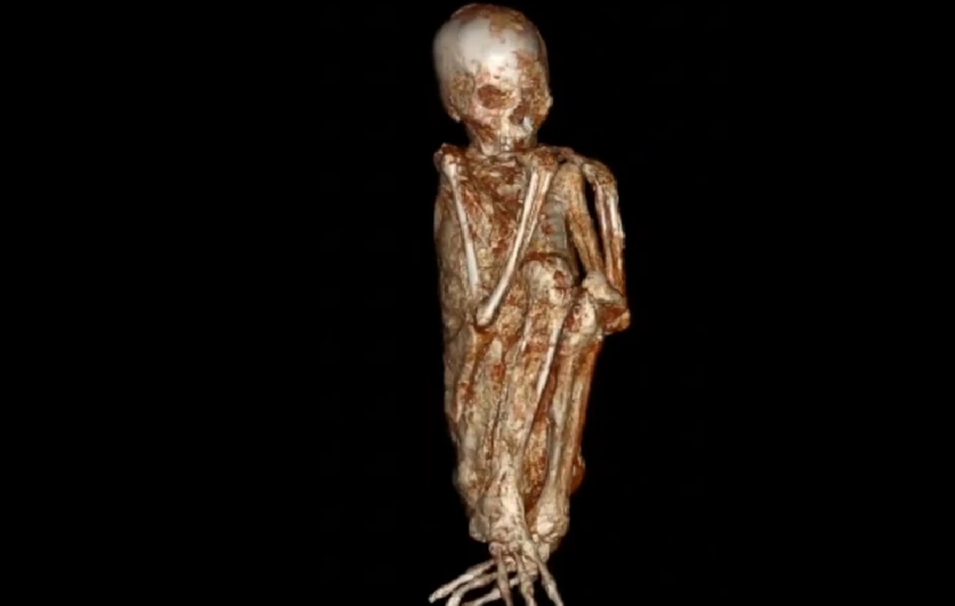 Νέα στοιχεία για τις μυστηριώδεις μούμιες που ανακαλύφθηκαν στο Περού: «Είναι 100% αληθινές» λένε ερευνητές
