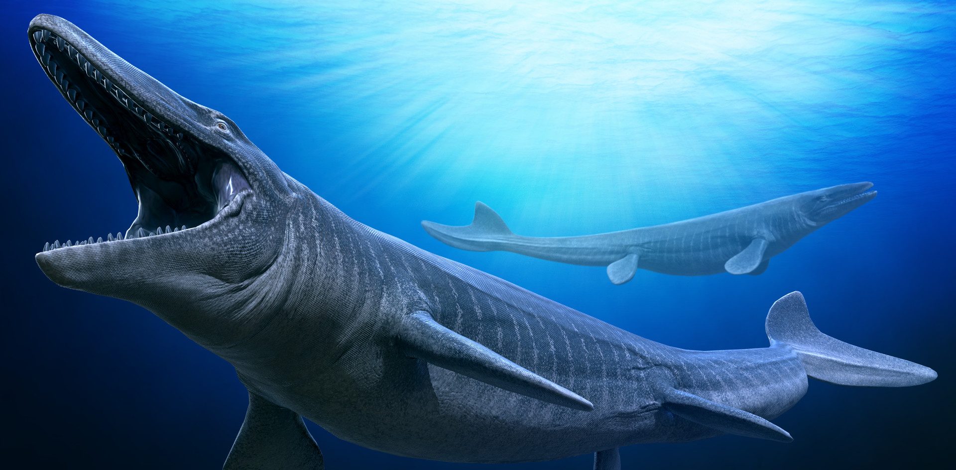 Λείψανα ενός προϊστορικού θαλάσσιου τέρατος βρέθηκαν στον ποταμό Μισισιπή