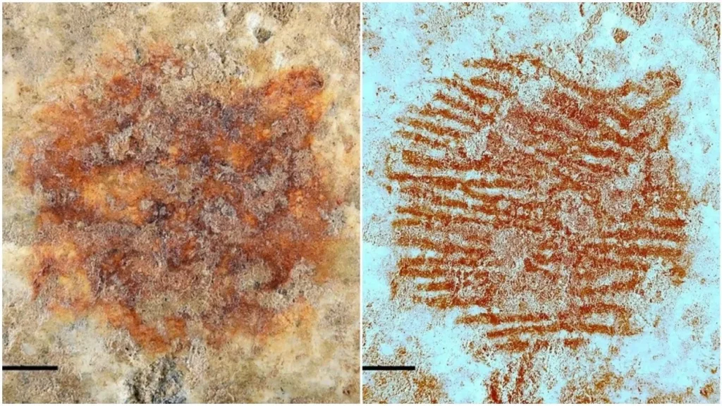 Οι Νεάντερνταλ δημιούργησαν τέχνη με δακτυλικό αποτύπωμα!