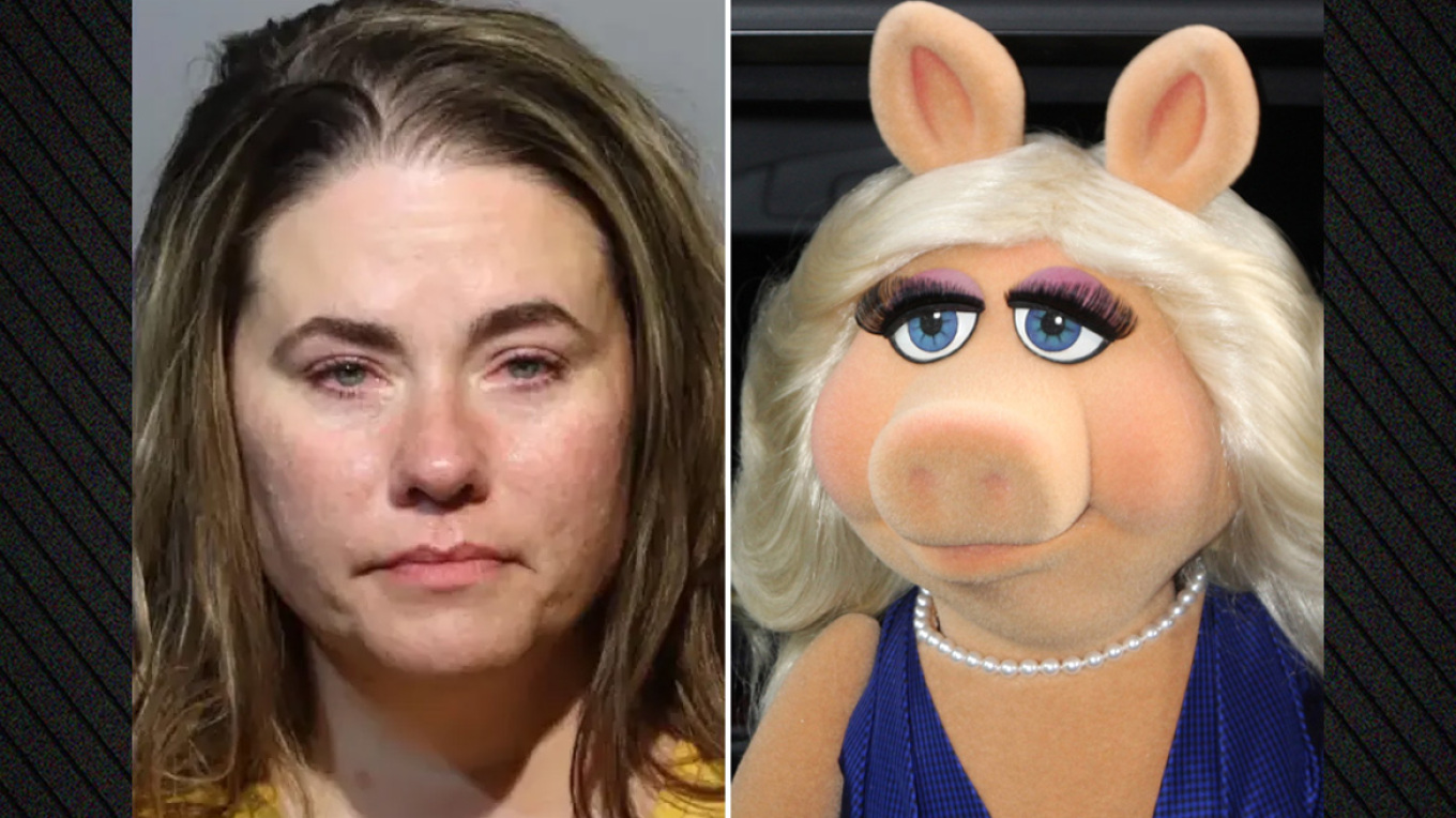 Γυναίκα γρονθοκόπησε παιδί επειδή την αποκάλεσε «Miss Piggy» σε πτήση στις ΗΠΑ