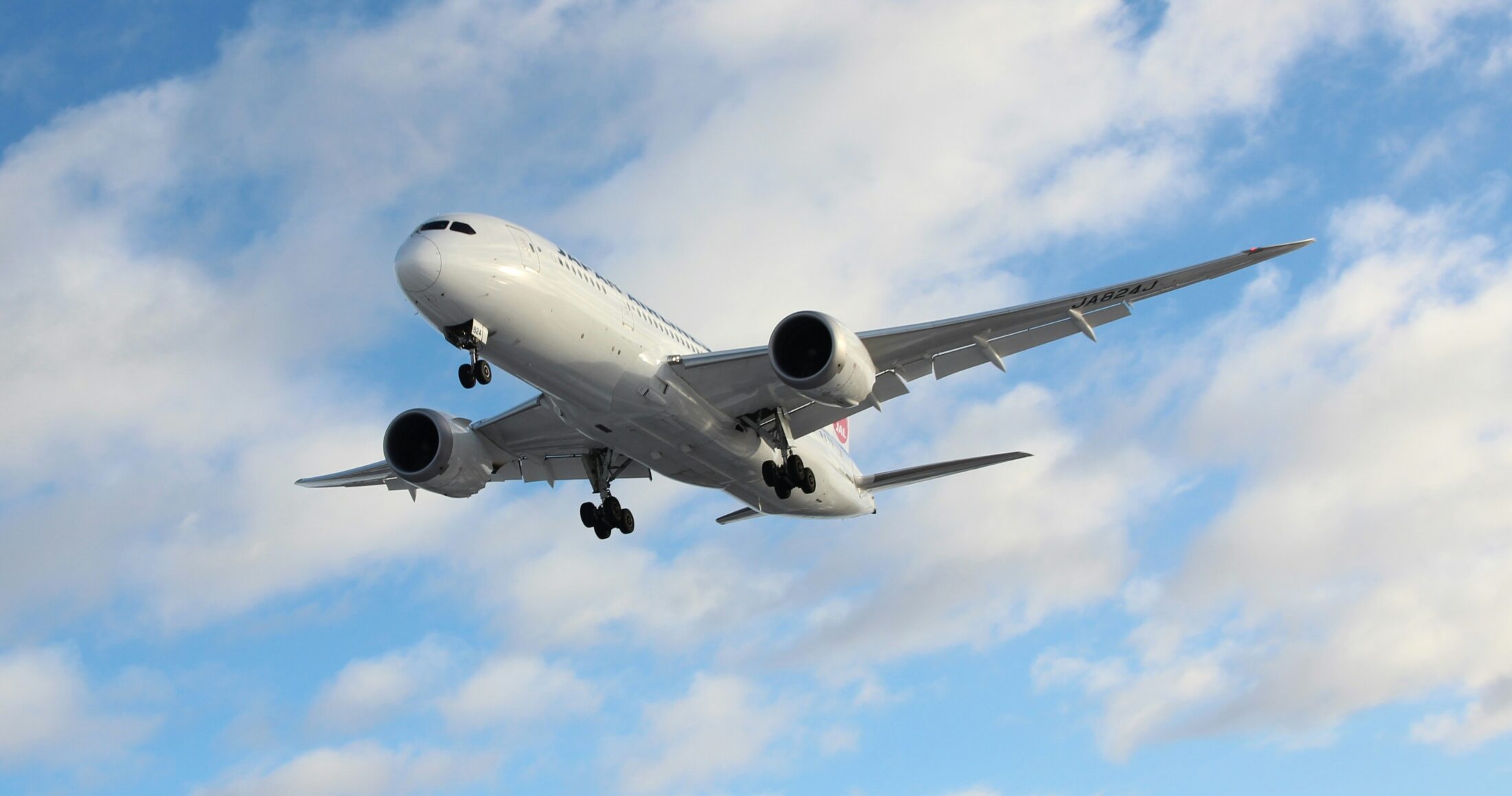 Αναστάτωση σε πτήση της Delta Air Lines: Περιστέρια «εισέβαλαν» στο αεροσκάφος πριν την απογείωση (βίντεο)