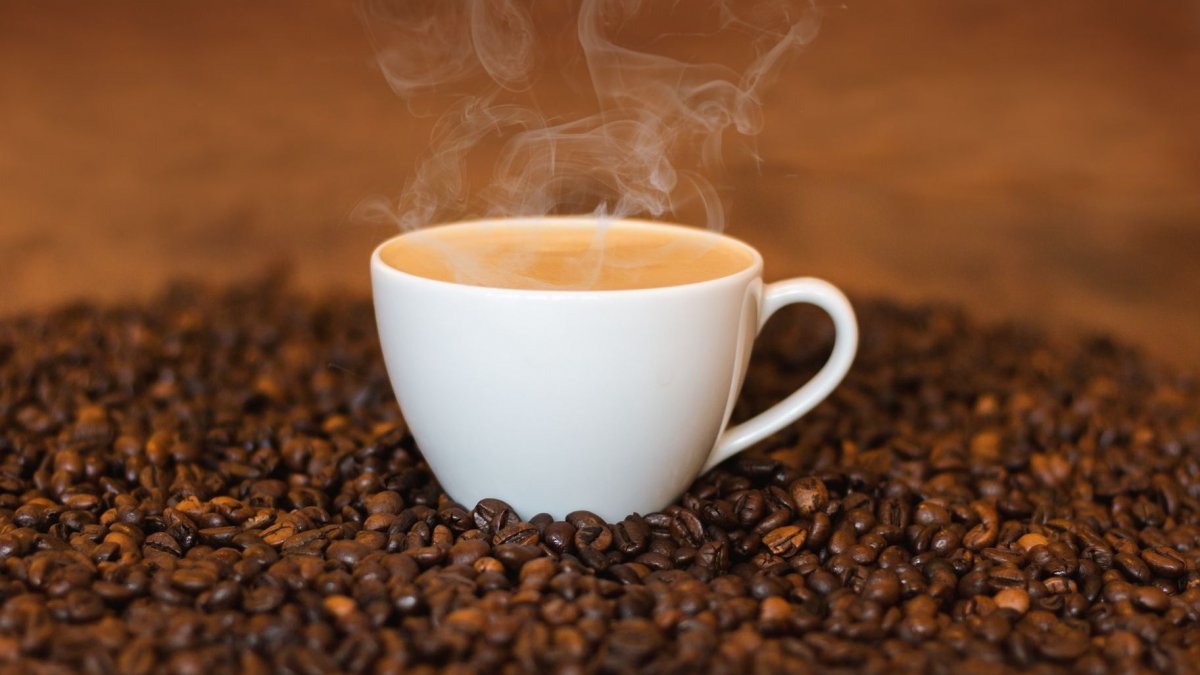 Ισπανός καρδιολόγος αποκαλύπτει: Οι άνθρωποι που πίνουν καφέ μόνο το πρωί έχουν μεγαλύτερο προσδόκιμο ζωής (βίντεο)