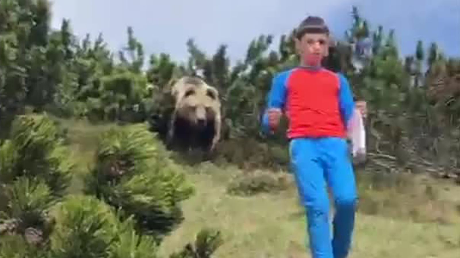 Πώς ένας 12χρονος κατάφερε να ξεφύγει από μια καφέ αρκούδα στις ιταλικές Άλπεις – Δείτε βίντεο