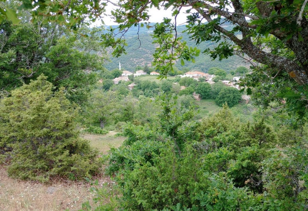 Ροδόπη: Δείτε εικόνες από το κρησφύγετο του Τούρκου που συνελήφθη για τους πυροβολισμούς εναντίον στελεχών της ΕΥΠ