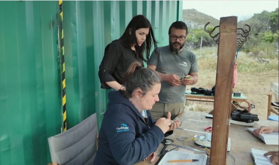 Ορνιθολογικός Σταθμός Αντικυθήρων: Τα Αντικύθηρα να γίνουν σταθμός ζωής για τα μεταναστευτικά πουλιά