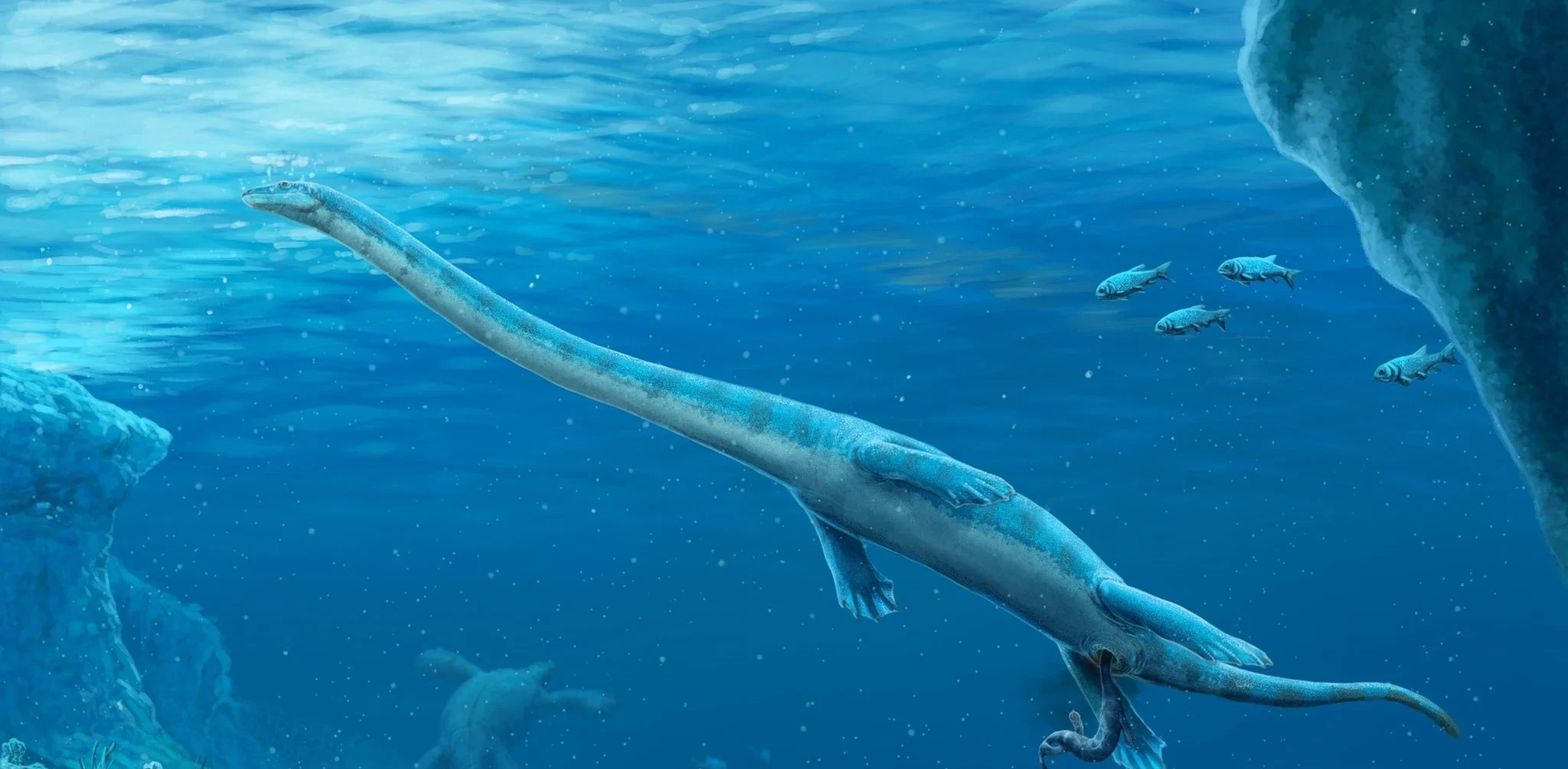 Κίνα: Παλαιοντολόγοι εντόπισαν πανάρχαιο απολίθωμα 240 εκατ. ετών – Γιατί μπερδεύει τους επιστήμονες