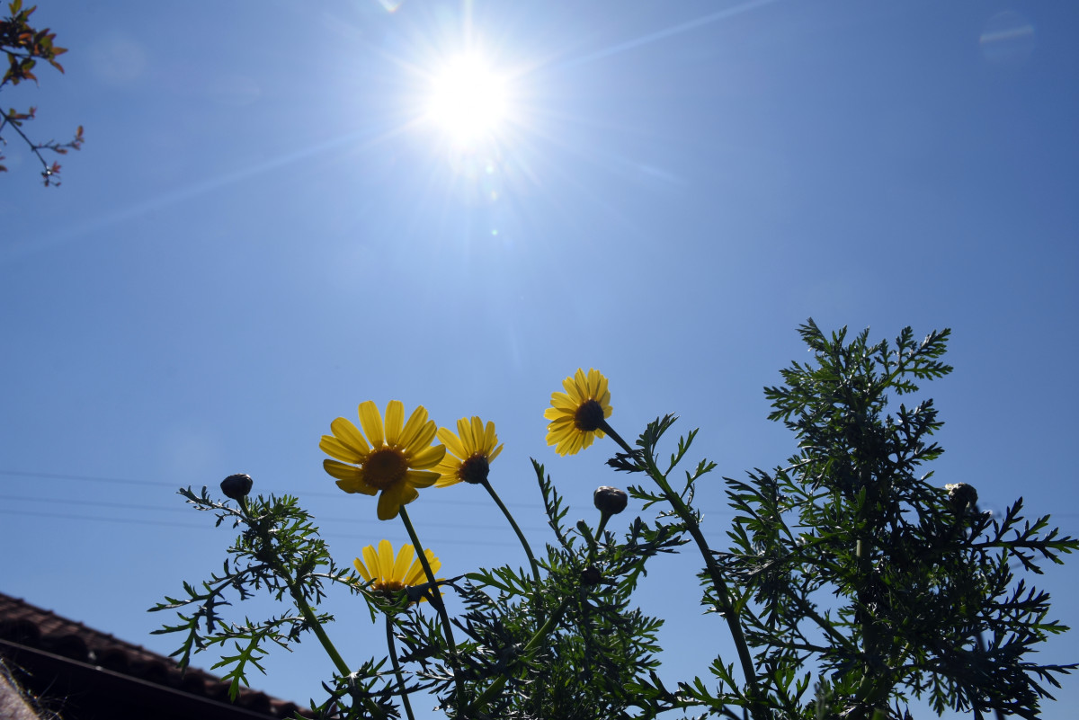 Αίθριος αύριο ο καιρός με άνοδο της θερμοκρασίας – Η πρόγνωση της ΕΜΥ για όλη τη χώρα