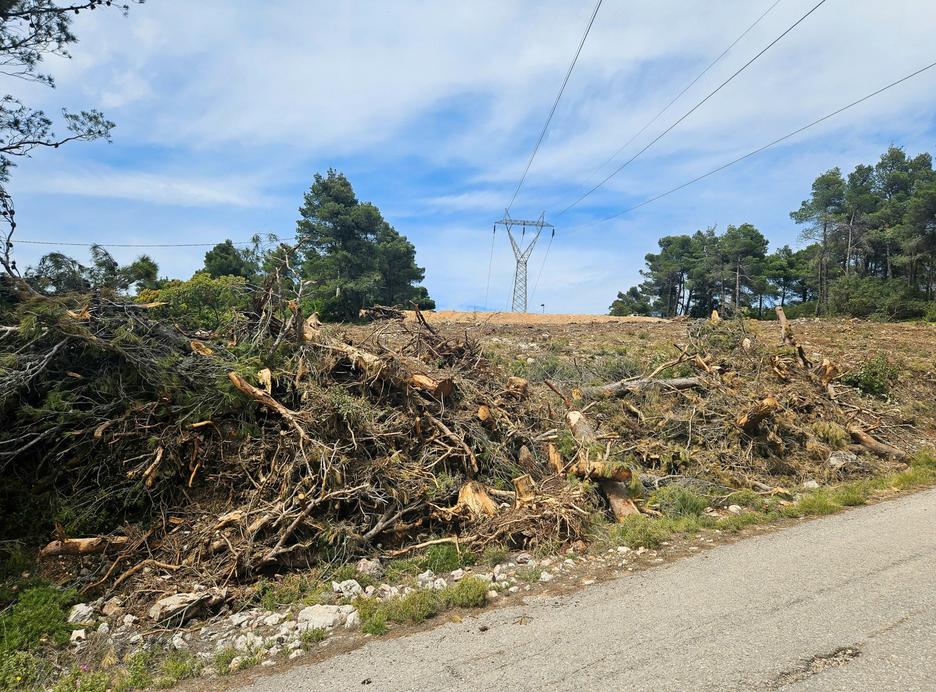 Έρχονται έλεγχοι και πρόστιμα από την Πυροσβεστική για τα ακαθάριστα οικόπεδα