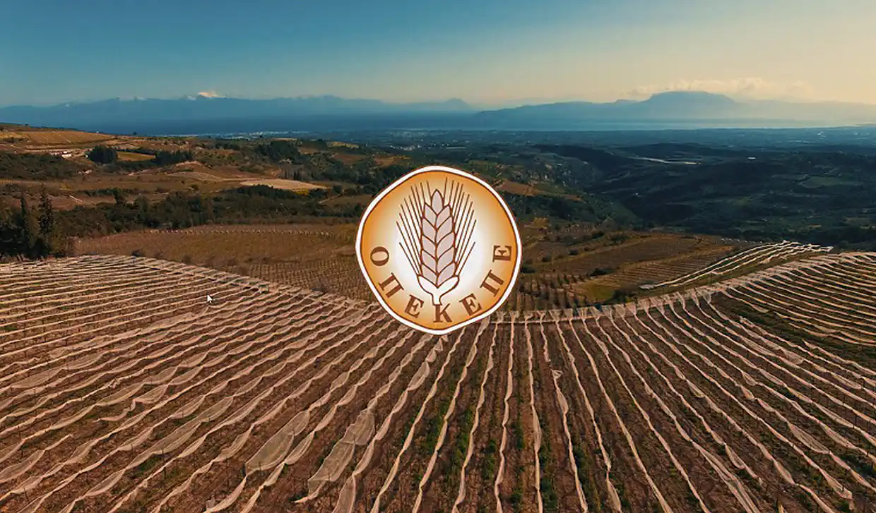 Σκάνδαλο στον ΟΠΕΚΕΠΕ: Ερευνούν έμβασμα 1,5 εκατομμύριο ευρώ σε πολιτικό!