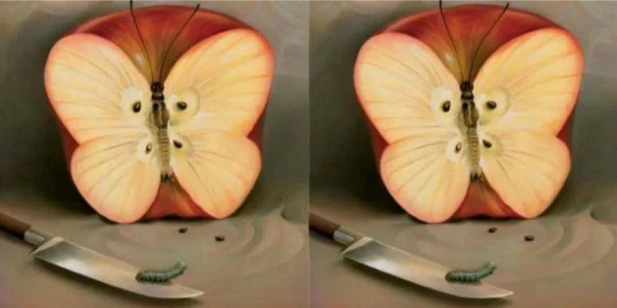 Το τεστ προσωπικότητας που θα σας αποκαλύψει τον μυστικό σας φόβο – Εσείς τι βλέπετε πρώτο; (φώτο)