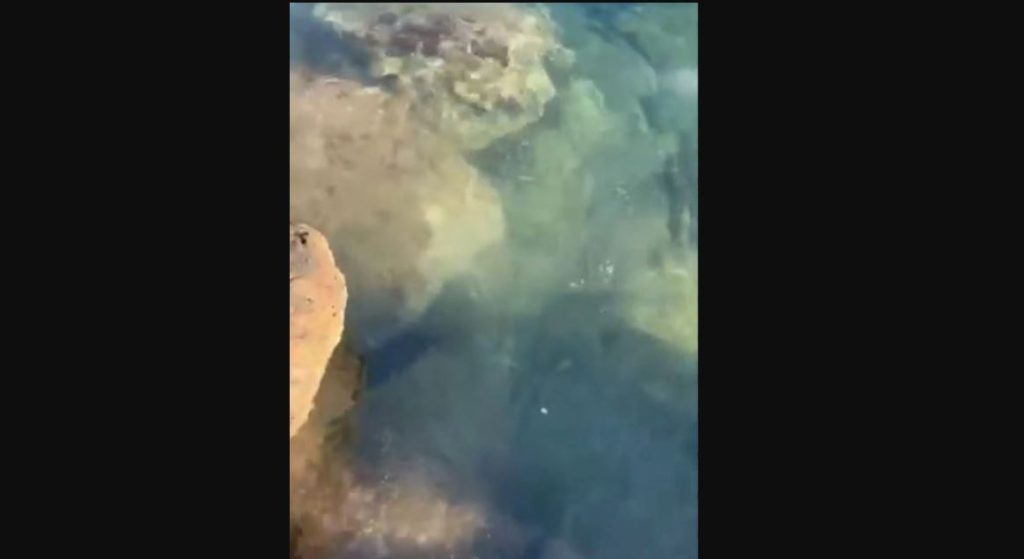 Βουλιαγμένη: Πετρελαιοκηλίδα μέσα στον κόλπο επάνω στα βράχια του ΝΟΒ!