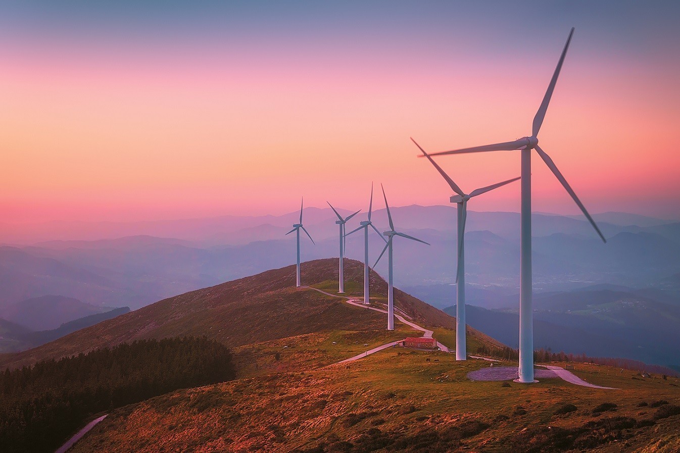 Δανική εταιρεία ετοιμάζει ανεμογεννήτριες στα καμένα του Έβρου!