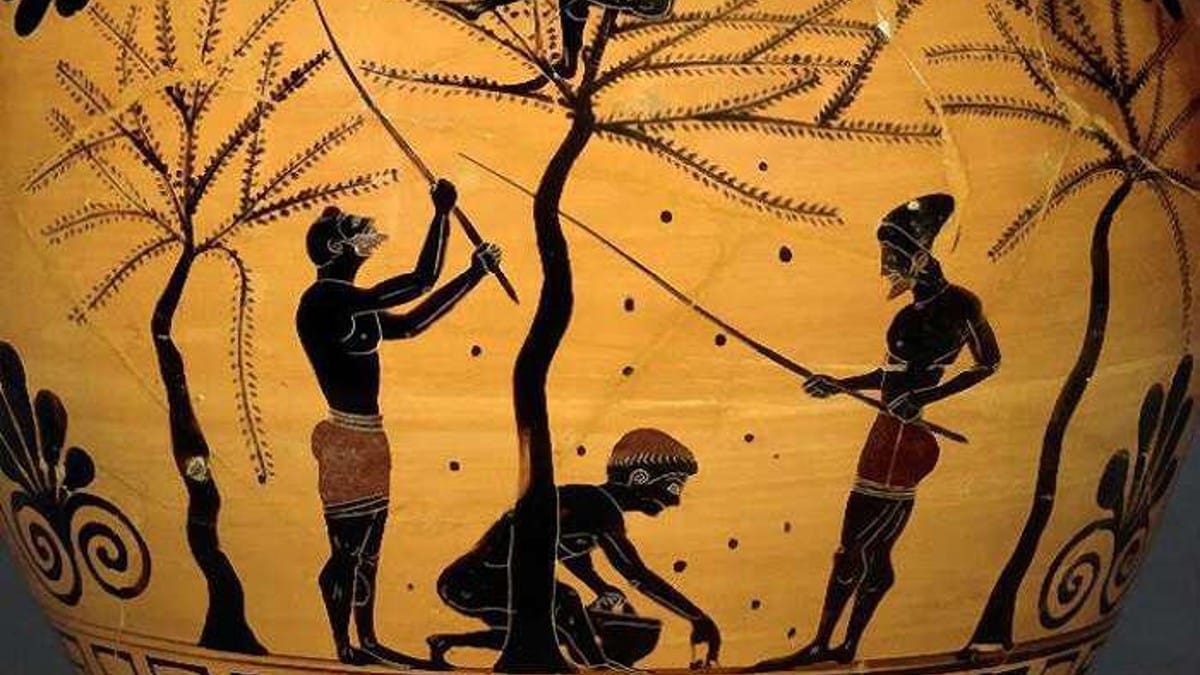 Οι πιο συχνές βρισιές τύπου «νταλικιέρη» που χρησιμοποιούσαν οι αρχαίοι Έλληνες