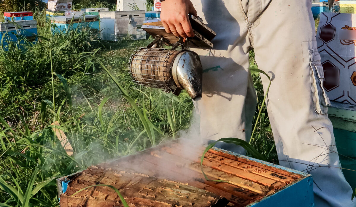 Καταγγελίες για σκάνδαλο Νο2 του ΟΠΕΚΕΠΕ με μελισσοκόμους