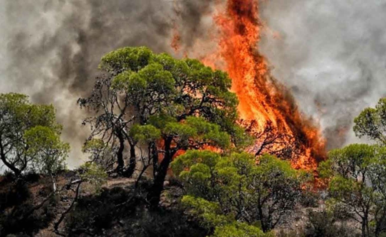 Υπό μερικό έλεγχο η φωτιά στο Ωραιόκαστρο Θεσσαλονίκης