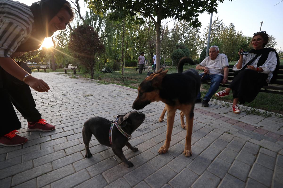 Αυτοί είναι οι δύο βασικοί λόγοι που το Ιράν θα απαγορεύσει την βόλτα με σκύλους