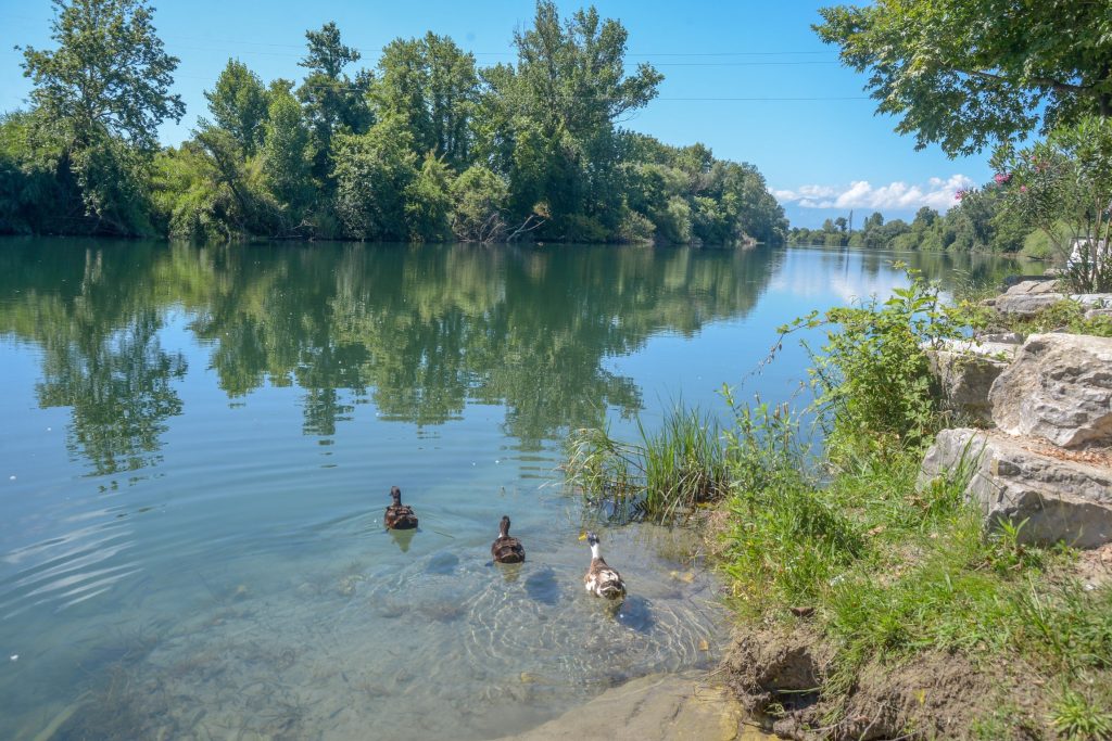 Ανέκτησαν τις αισθήσεις τους τα δύο παιδιά που ανασύρθηκαν λιπόθυμα από τον ποταμό Άραχθο στην Άρτα! (upd)