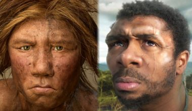Τα νέα στοιχεία που δείχνουν ότι Νεάντερνταλ και Homo Sapiens συνεργάζονταν!