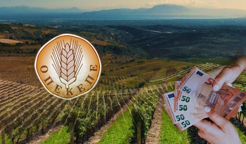 «Πλημμεληματική απάτη» στο σκάνδαλο του ΟΠΕΚΕΠΕ – Τι είπαν στις απολογίες τους οι κατηγορούμενοι