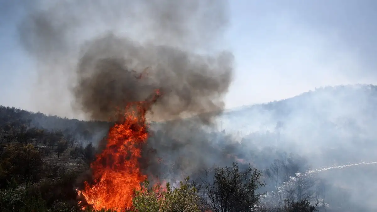 Φωτιά στην Παλλήνη – Κοντά στην Αττική Οδό