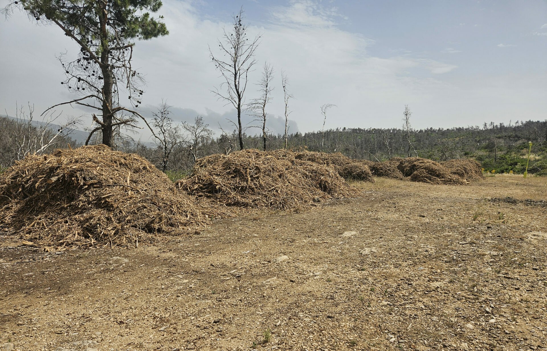 «Έρχονται» τσουχτερά πρόστιμα για τα ακαθάριστα οικόπεδα – Ξεκινούν οι έλεγχοι και οι αυτοψίες