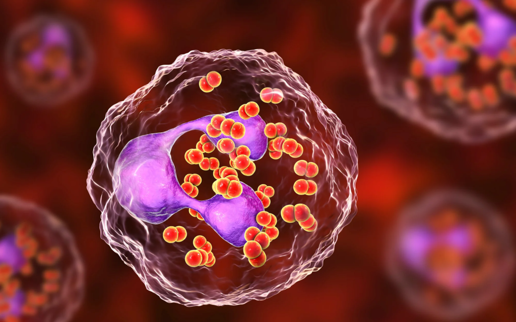 Δείτε πώς το ουρεόπλασμα και το μυκόπλασμα επηρεάζουν τη γονιμότητα