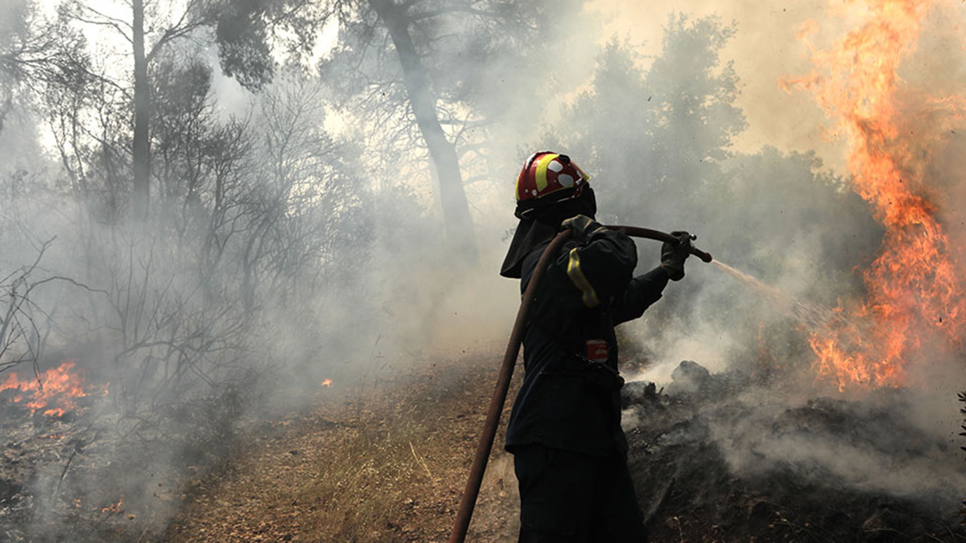 Φωτιά κοντά στη Ναύπακτο – Ισχυρές δυνάμεις της Πυροσβεστικής στο σημείο (βίντεο)