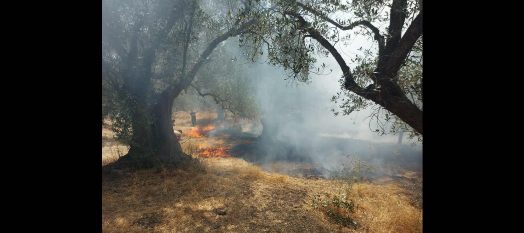 Μυτιλήνη: Φωτιά σε αγροτική περιοχή στην Αγία Παρασκευή