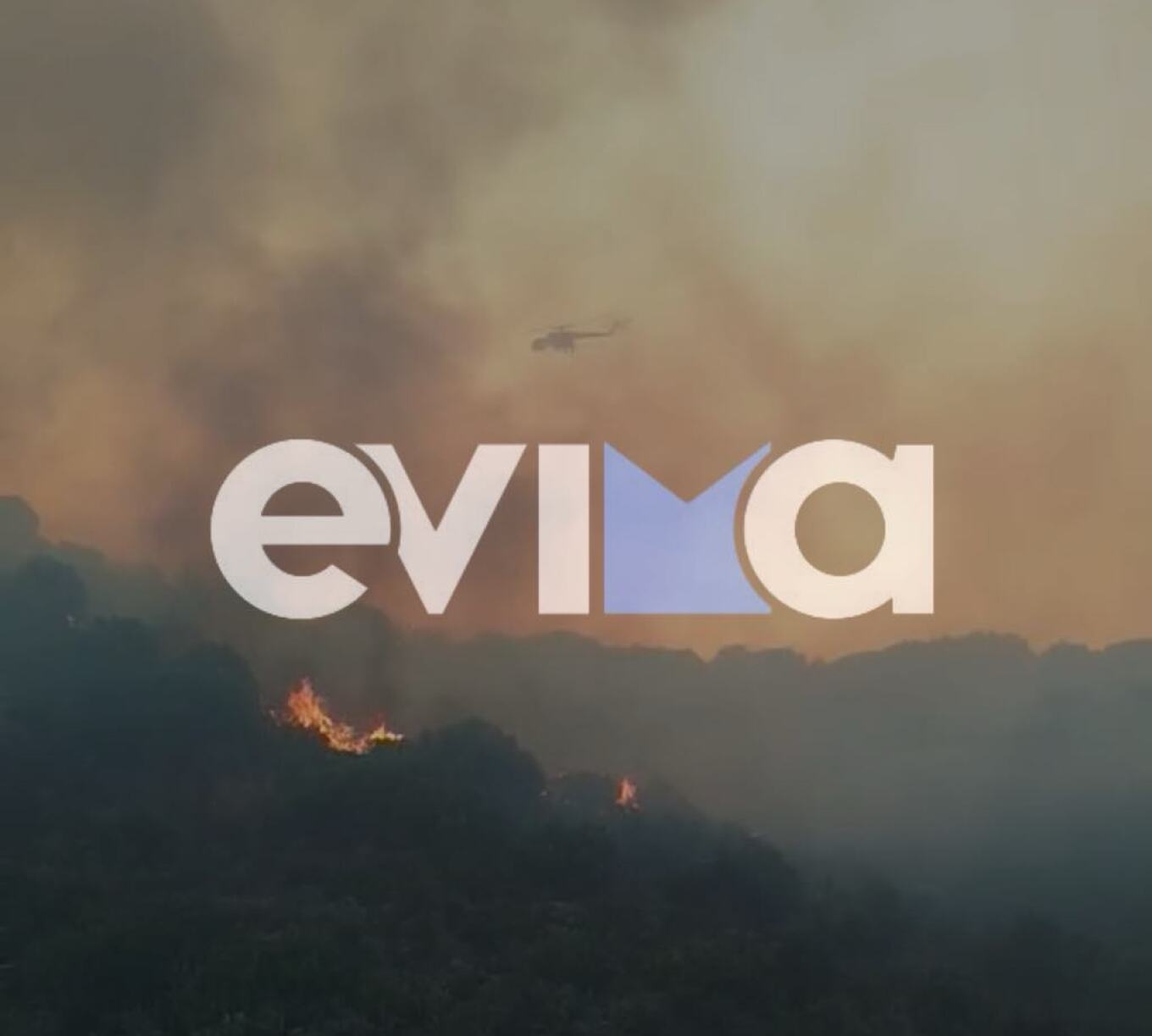 Μεγάλη φωτιά σε δασική έκταση στην Εύβοια – Εκκενώθηκε ξενοδοχείο (βίντεο)