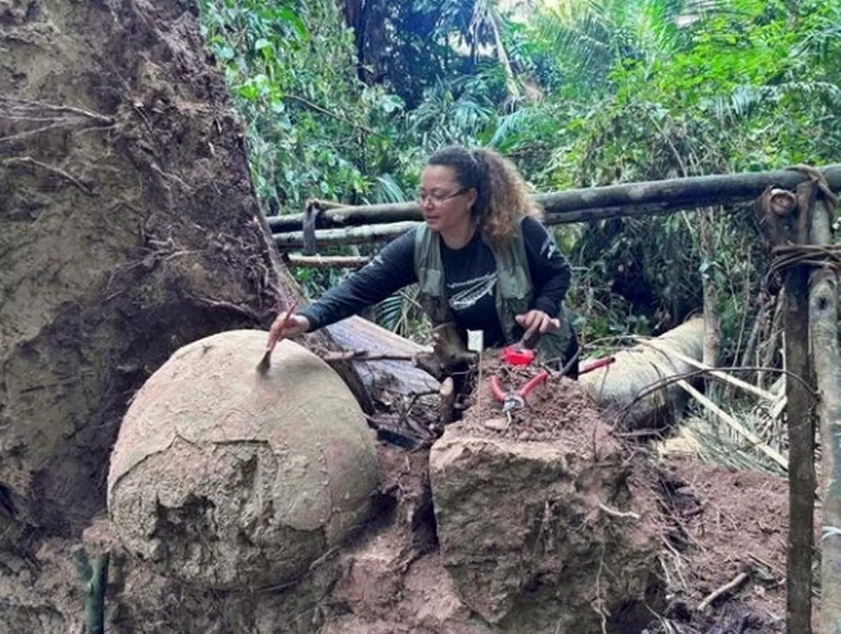 Αρχαιολογική ανακάλυψη στον Αμαζόνιο – Βρέθηκαν τεφροδόχοι με οστά ανθρώπων