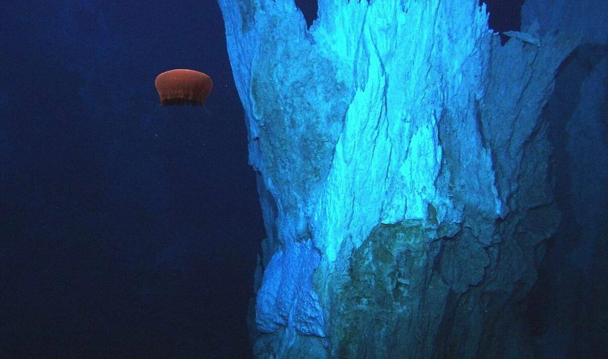 Μυστηριώδης υποθαλάσσιος κόσμος στον Ατλαντικό: Η «Χαμένη Πόλη» που αποκαλύπτει τα ίχνη της πρώτης ζωής