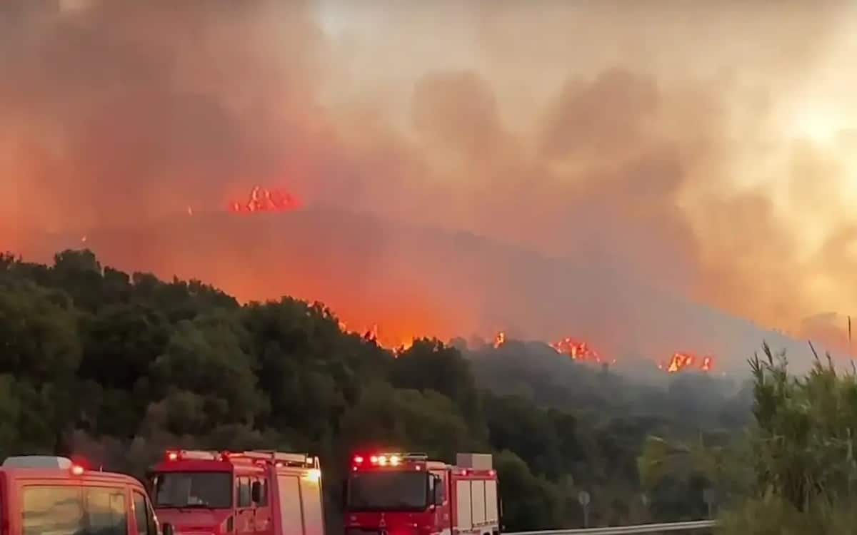 Βίντεο ντοκουμέντο: Η στιγμή που ξεκινάει η φωτιά στη Ναύπακτο – Δεν έχουν καταγραφεί ζημιές