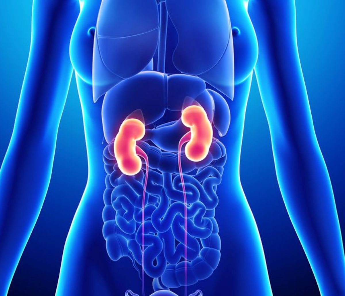 Αυτά είναι τα σημάδια που φανερώνουν ότι τα νεφρά σας δε λειτουργούν σωστά