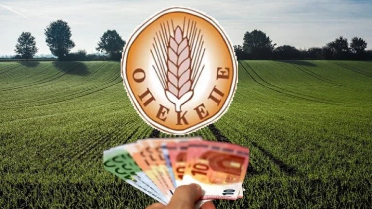 Πρώην πρόεδρος ΟΠΕΚΕΠΕ Δ.Χαλικιά: «Από τα 415 εκατ. ευρώ τα 178 πληρώθηκαν 2022 και 2023»