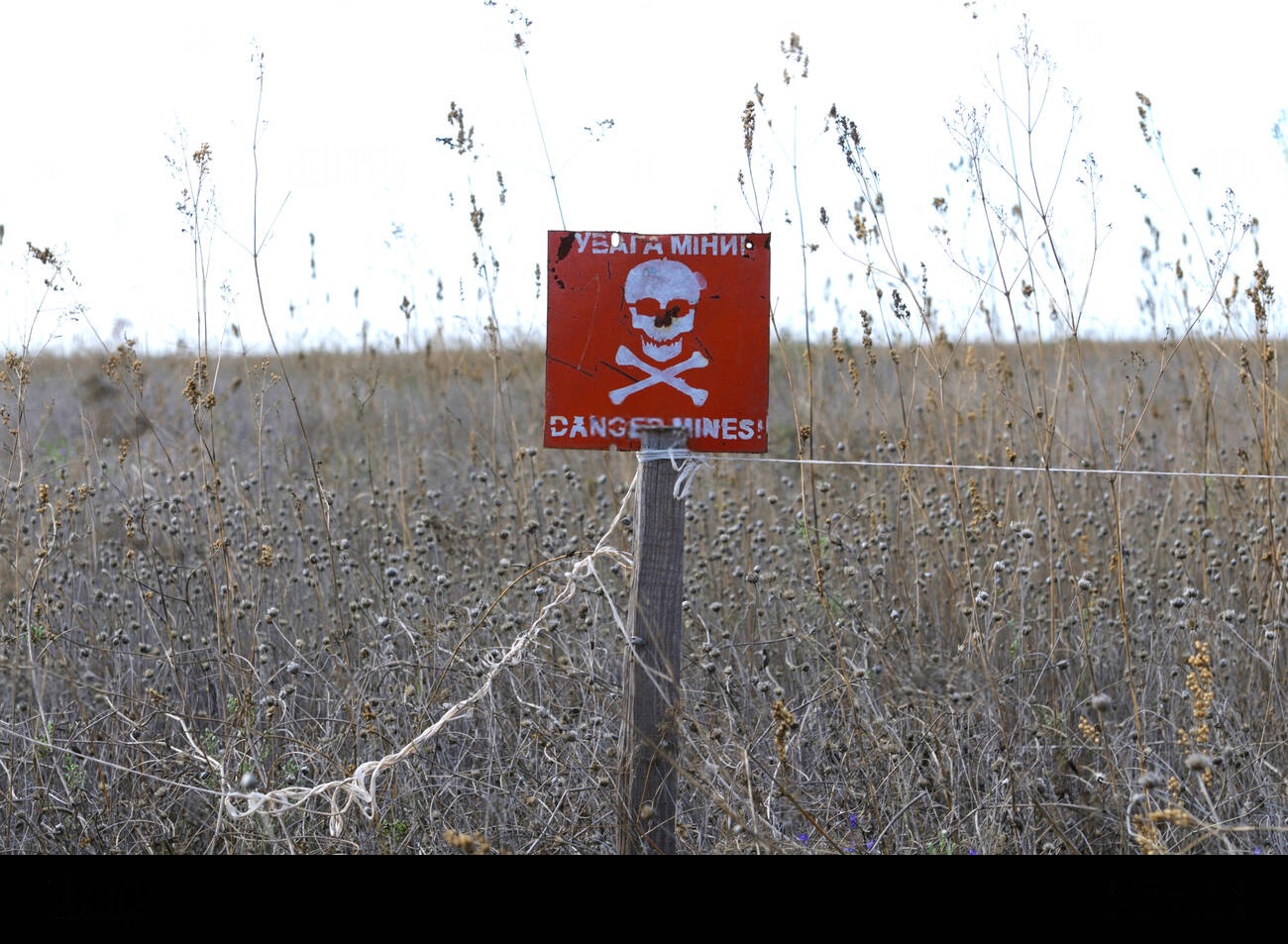 Το Κίεβο αρχίζει τη στρώση ναρκοπέδίων: Αποσύρθηκε από την  Σύμβαση για την Απαγόρευση Ναρκών κατά Προσωπικού