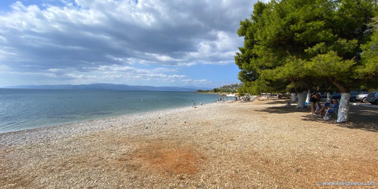 Παραλίγο τραγωδία στην Εύβοια: Αστυνομικός έσωσε μητέρα και παιδί που παρασύρθηκαν πάνω σε στρώμα θαλάσσης