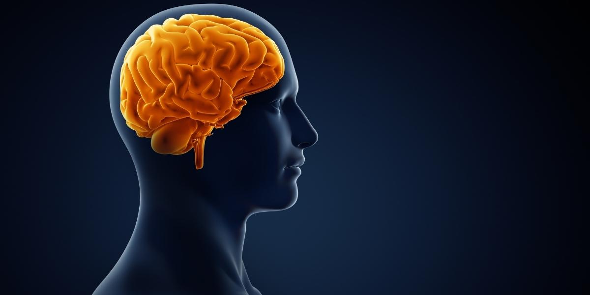 Ειδικοί αποκαλύπτουν: Aυτός είναι ο τρόπος για να βελτιώσετε την απόδοση του εγκεφάλου σας μέσα σε μόλις 20 λεπτά!