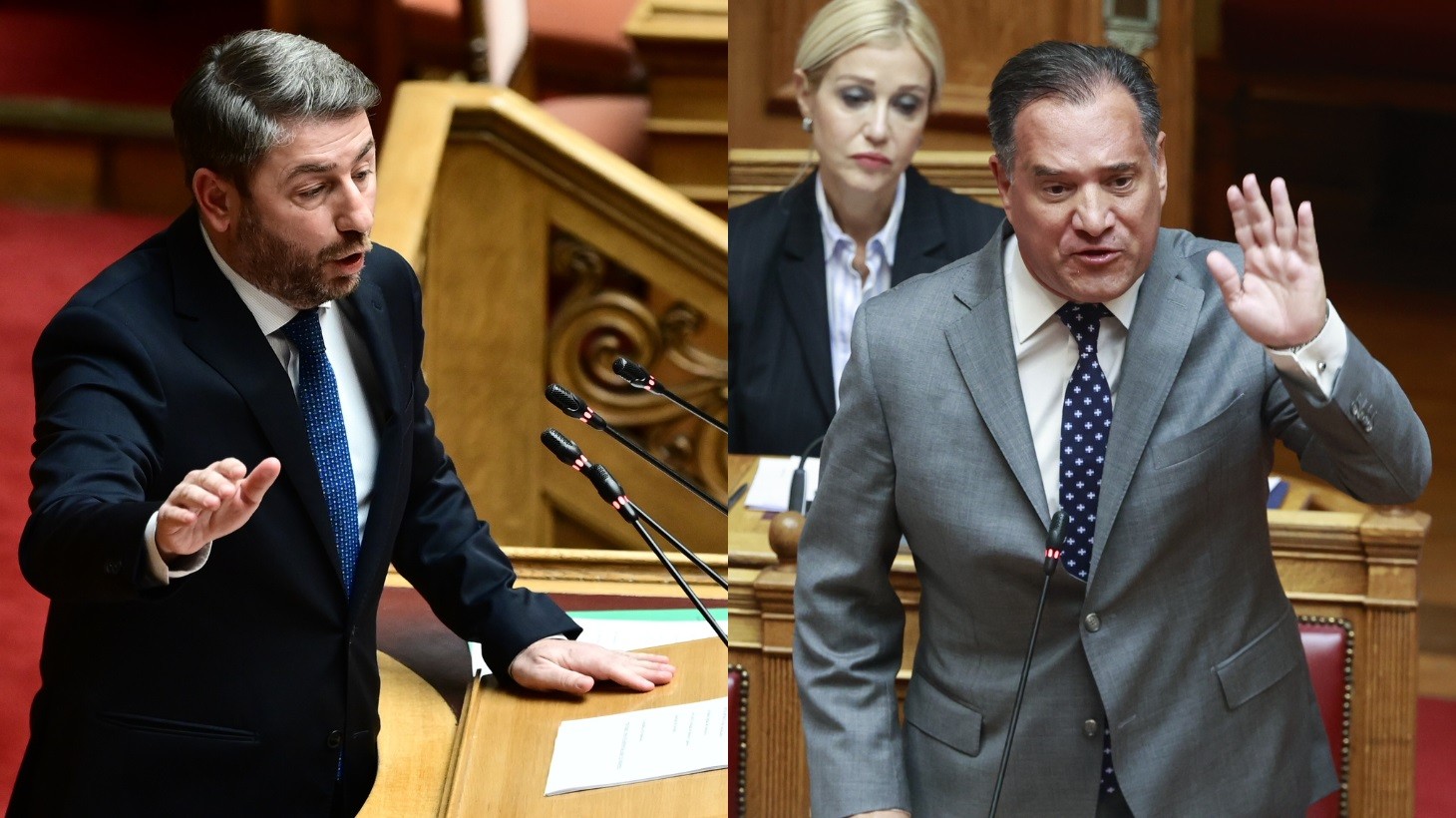 Αντιπαράθεση Ν.Ανδρουλάκη – Α.Γεωργιάδη στη Βουλή για τον ΟΠΕΚΕΠΕ