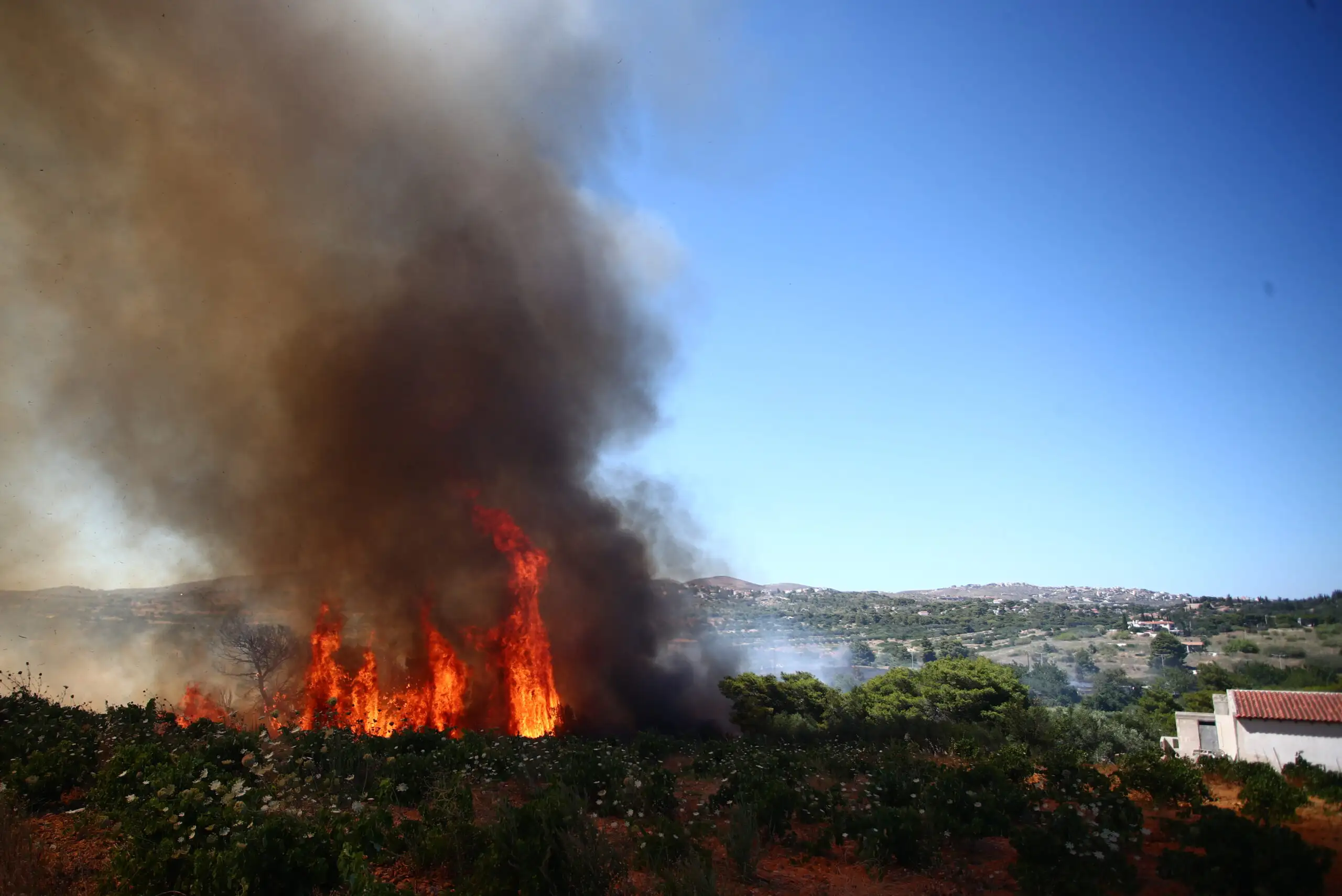 Φωτιά στην Ραφήνα: Περισσότεροι από 300 άνθρωποι απομακρύνθηκαν από τις εστίες τους – 51 απεγκλωβισμοί