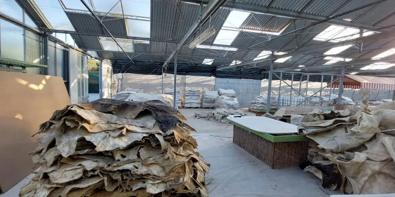 Σπάτα: Πώς δρούσε το κύκλωμα με την κοκαΐνη σε αποξηραμένα δέρματα – Η μεθοδολογία και το χημικό εργοστάσιο (φωτο)