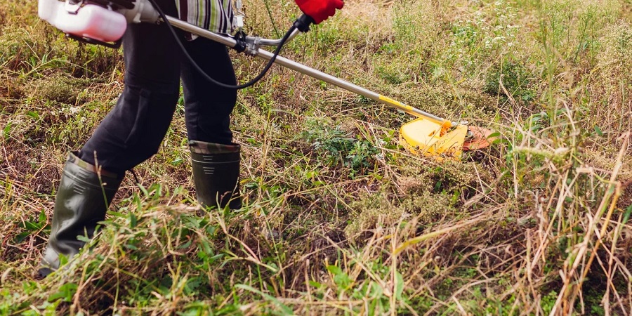 «Βροχή» οι καταγγελίες πολιτών για τα ακαθάριστα οικόπεδα – Ξεκινούν οι έλεγχοι από την Πυροσβεστική