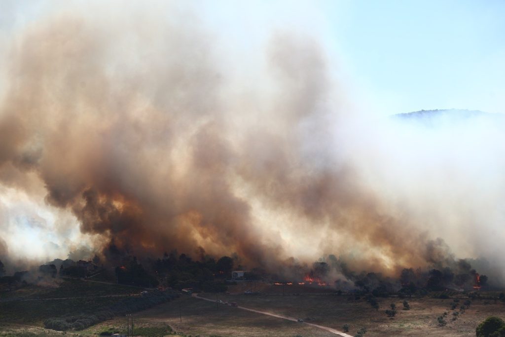 Φωτιά στην Εύβοια: Συνελήφθη 52χρονος αλλοδαπός για εμπρησμό από αμέλεια