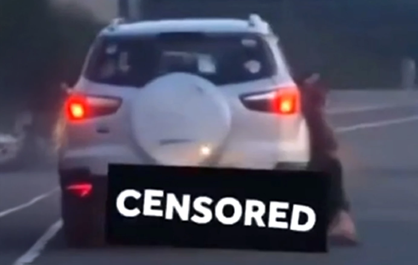 Βέλγιο: Έκαψαν το σπίτι άνδρα που έσυρε τον σκύλο του με το αυτοκίνητο μέχρι θανάτου (βίντεο)