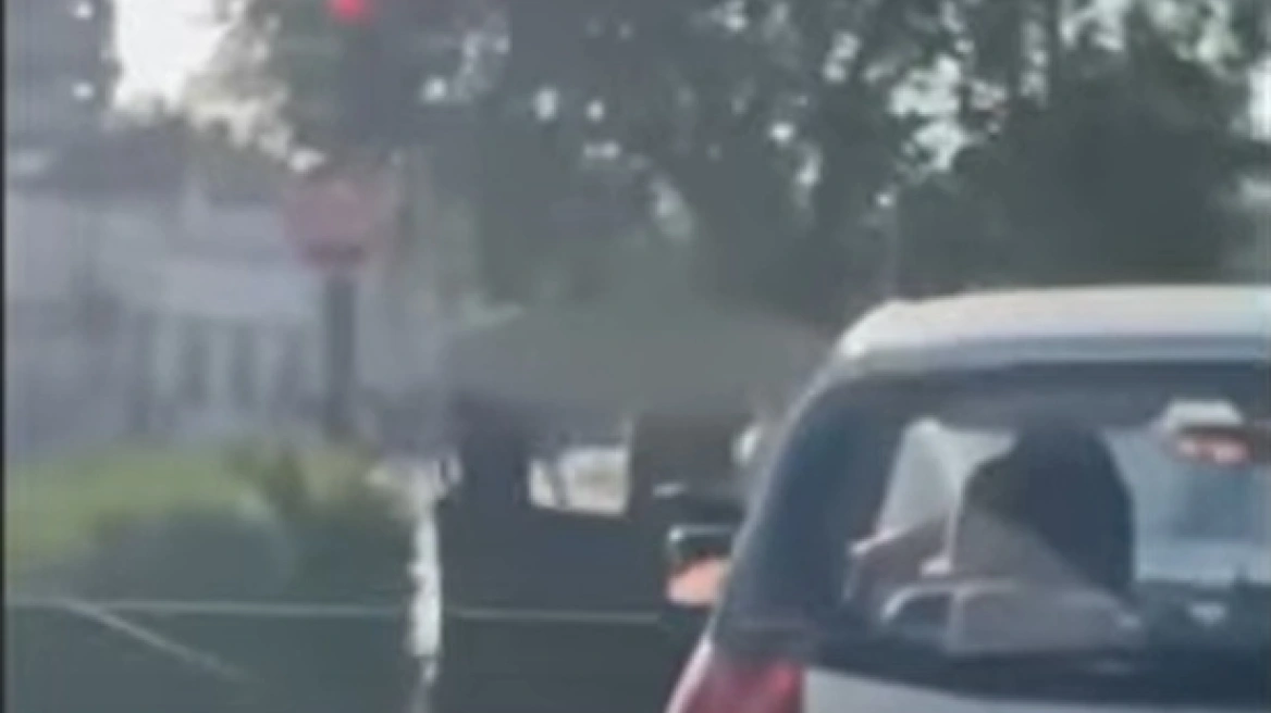 Τρίκαλα: Άγριο ξύλο σε φανάρι γιατί αργούσε να περάσει ο πεζός! (βίντεο)