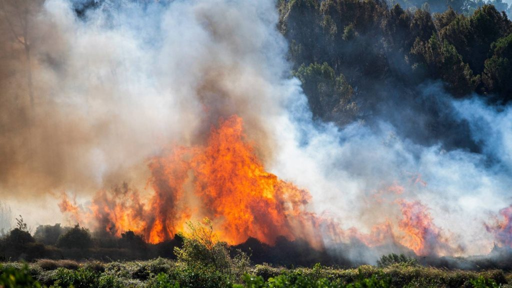 Ισπανία: Περίπου 32.000 στρέμματα δάσους καταστράφηκαν από τις πυρκαγιές